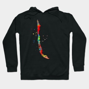 Chile Map Watercolor Painting Hoodie